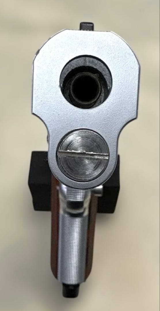 SPRINGFIELD NASTOFF.45 スプリングフィールドナストフ