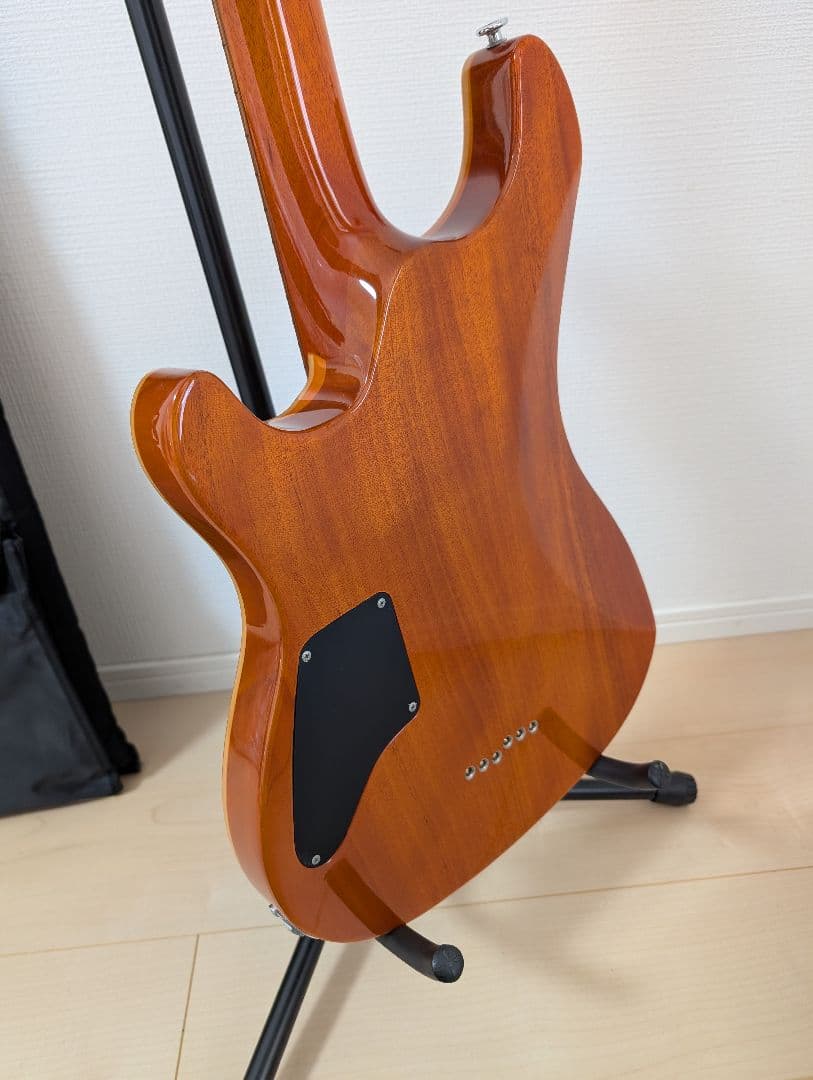 【美品・動作良好】SCHECTER RJ-1-24-TOM AMB　シェクター