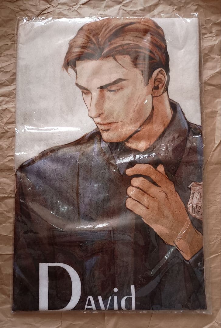 In These Words　咎井淳　デビッド　特大布ポスター　イラストタオル