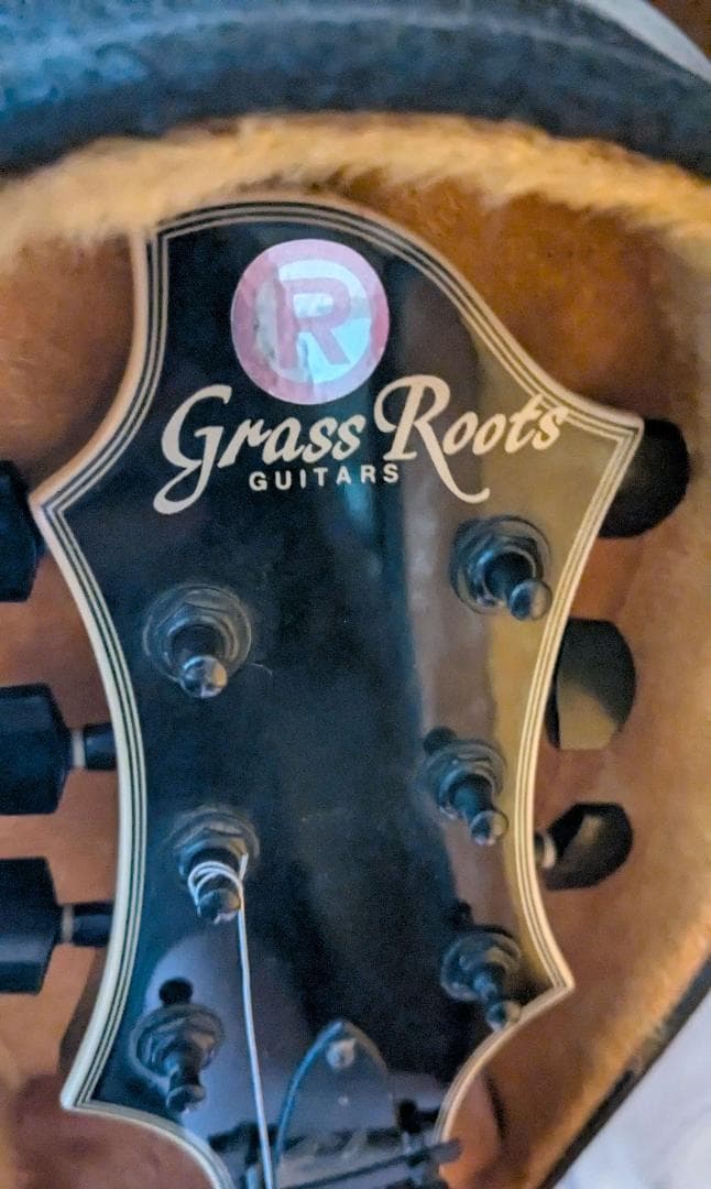 Grass Roots エレキギターケース付LUNA SEASUGIZOモデル