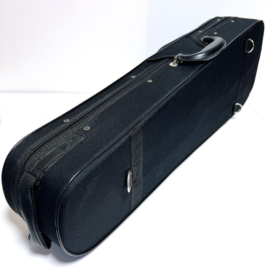 【未使用に近い】Carlo giordano VS-1 4/4 バイオリン