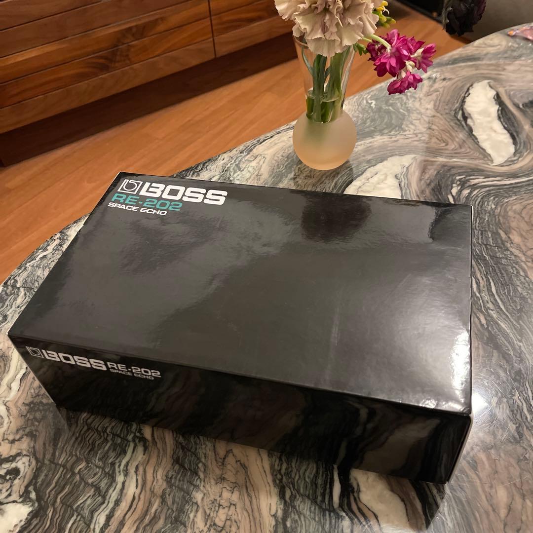 【未使用】BOSS RE-202