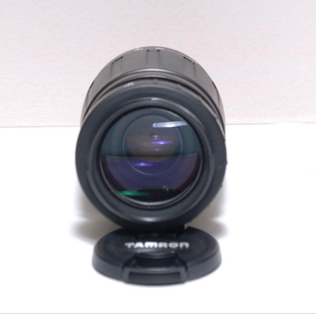 SONY α550 激安　特典　ＳＤカード対応