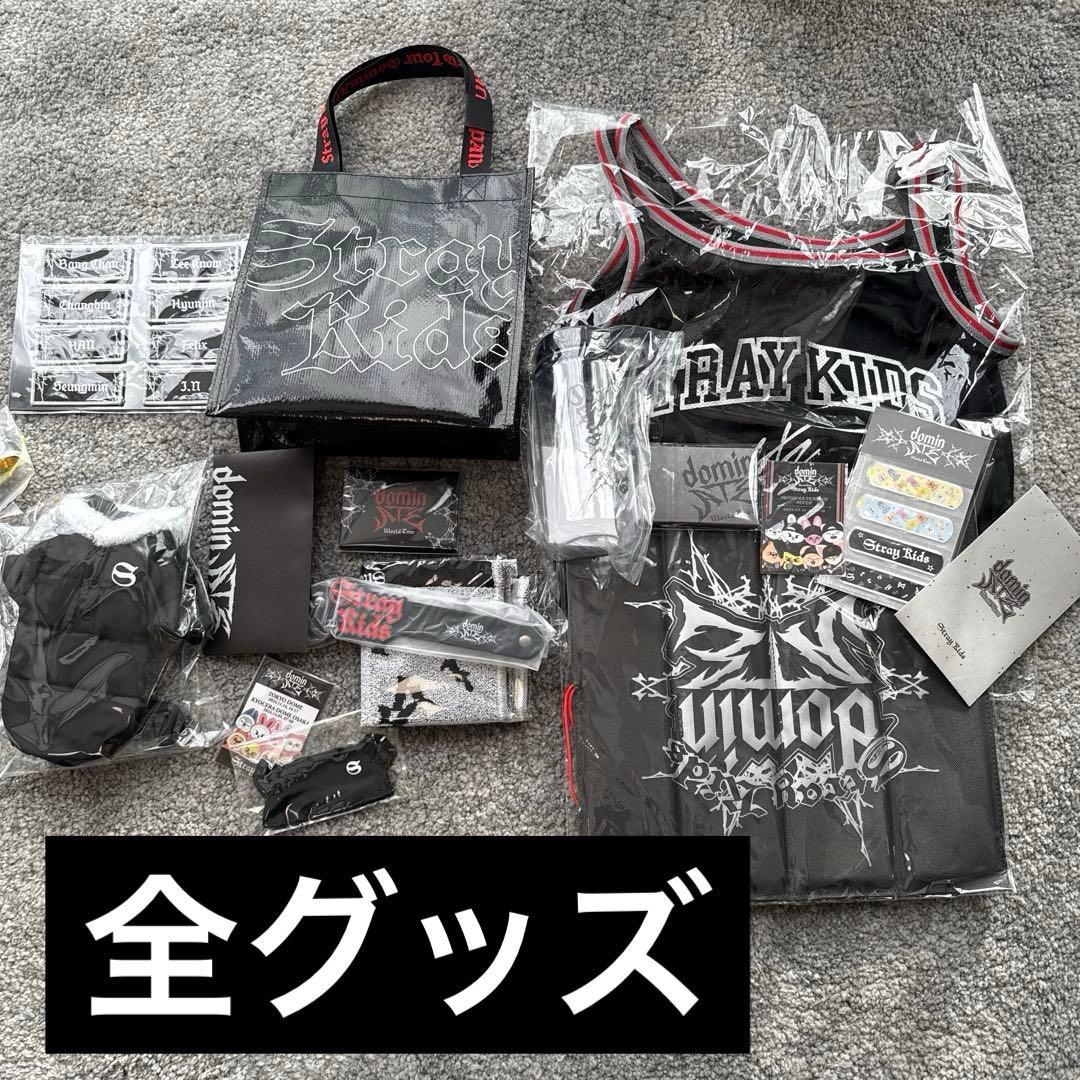 STRAY KIDS スキズ　エコパ　ドーム　アプグレ特典　グッズ　セット