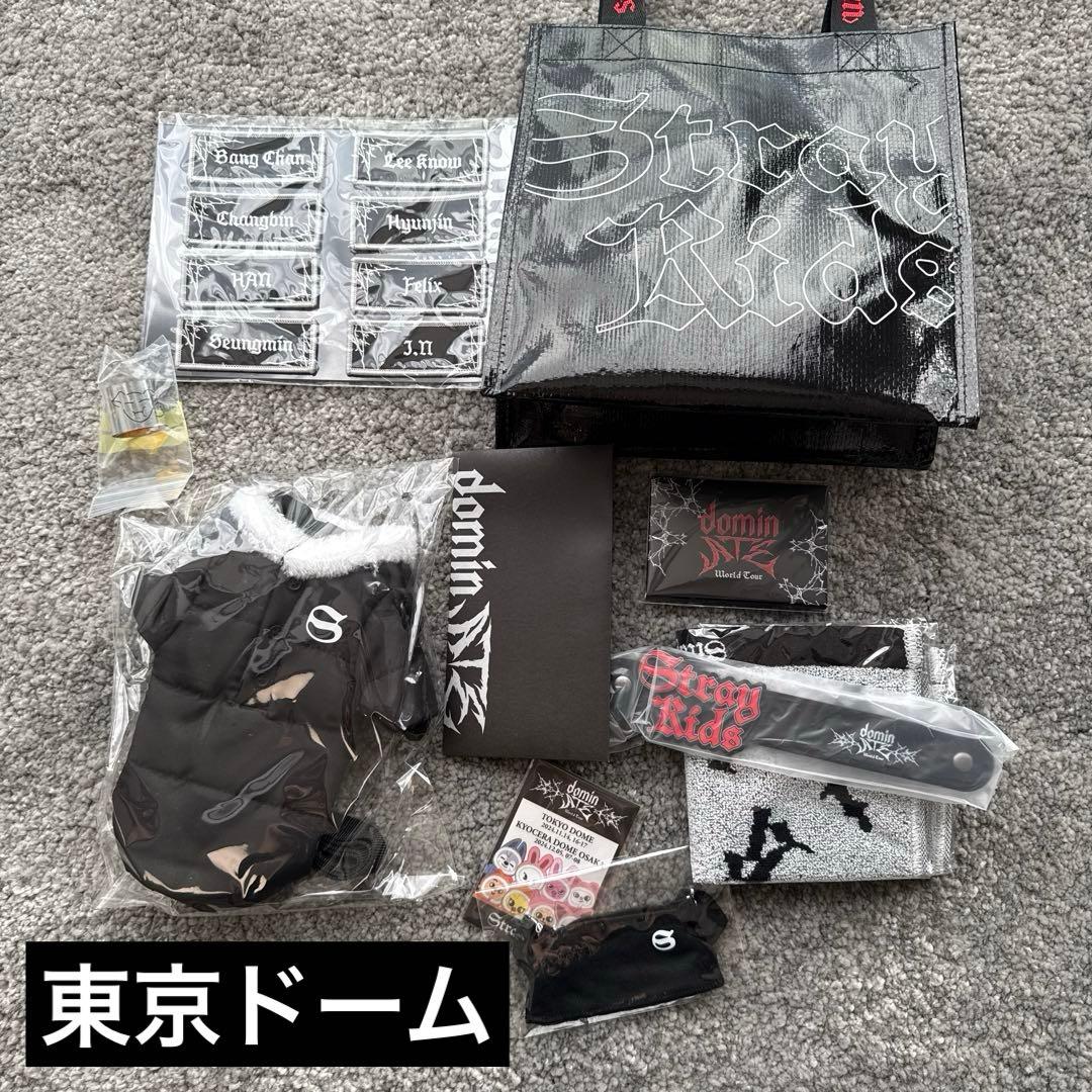 STRAY KIDS スキズ　エコパ　ドーム　アプグレ特典　グッズ　セット
