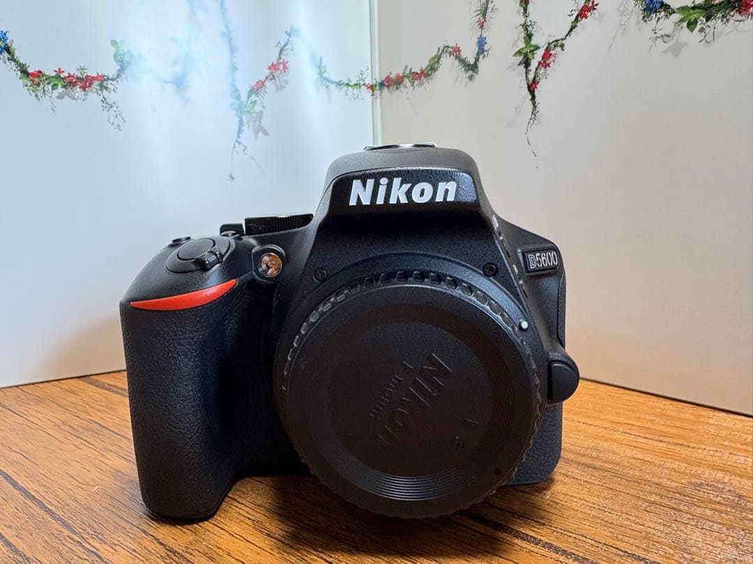 Nikon D5600 デジタル一眼レフ レンズ2本セット