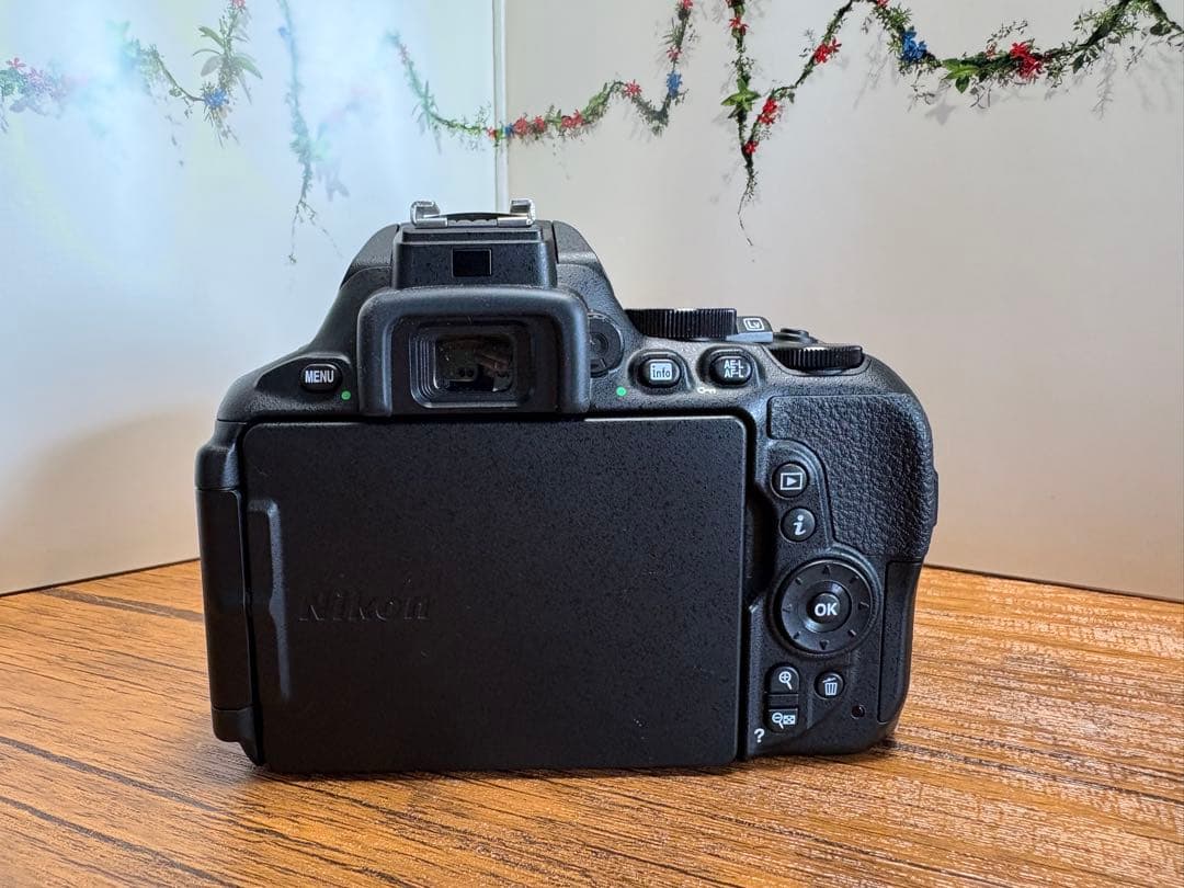 Nikon D5600 デジタル一眼レフ レンズ2本セット