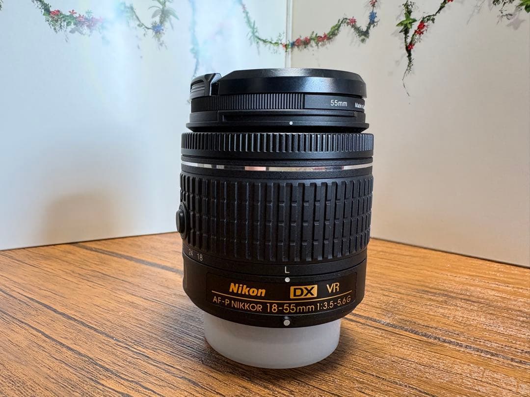 Nikon D5600 デジタル一眼レフ レンズ2本セット