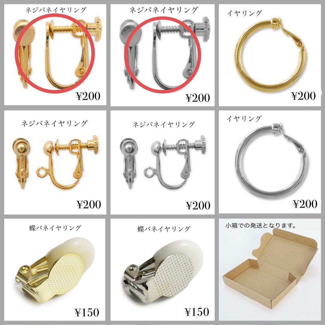 Aya様♡専用ページ〔ネジバネイヤリング〕