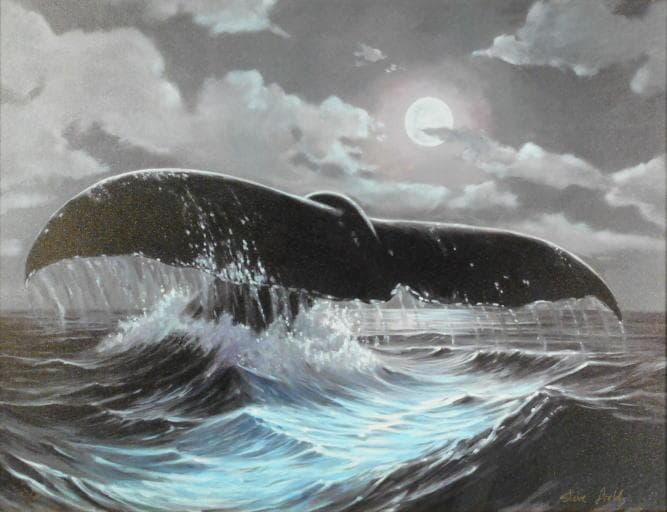 スティーブ・フィールド　 　　SILVER GRAE