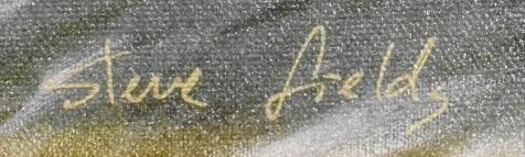 スティーブ・フィールド　 　　SILVER GRAE