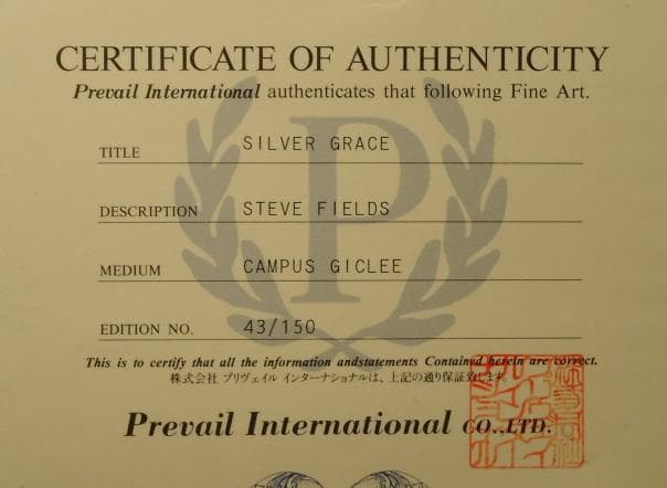 スティーブ・フィールド　 　　SILVER GRAE