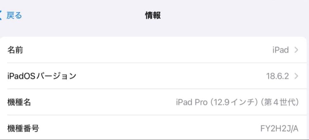 iPad Pro 12.9 第4世代 Wi-Fi 128GB［訳あり］