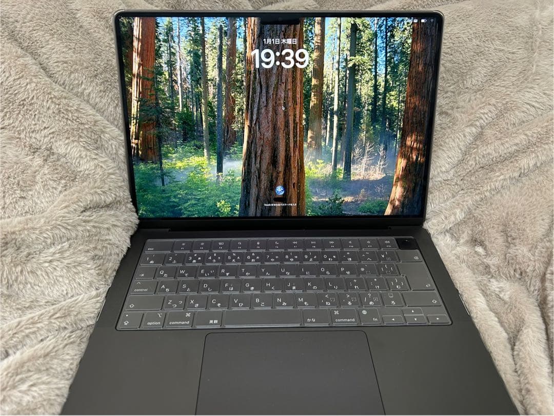 MacBook Pro M4 1TB スペースグレー 本体 純正