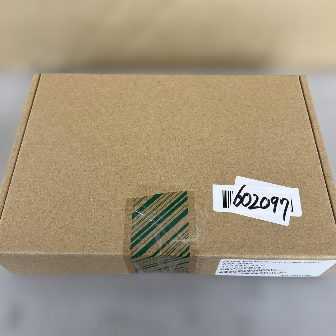 iPad本体 602097 Apple iPadmini A17Pro 256GB