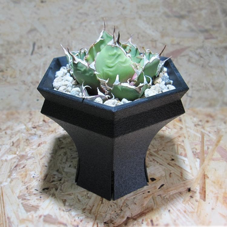 NITRO  HexaGrail Lサイズ 3D鉢 プランター アガベ