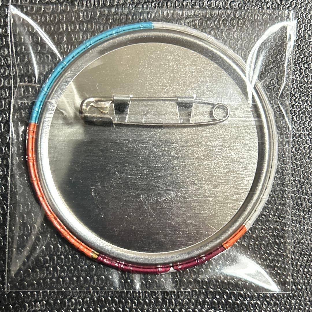 貴重　へやキャン△ 犬山あおい　缶バッジ