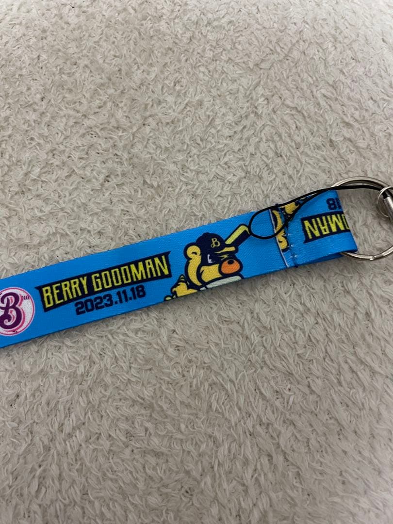 ベリーグッドマン ライブ即戦セット
