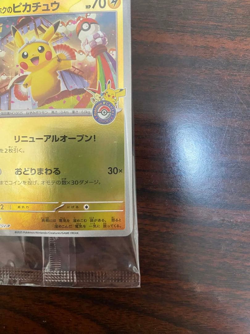 トウホクのピカチュウ ②