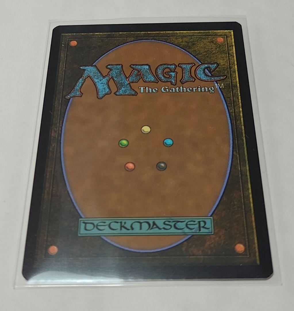 偏向はたき/Deflecting Swat ボーダーレス 日本語版