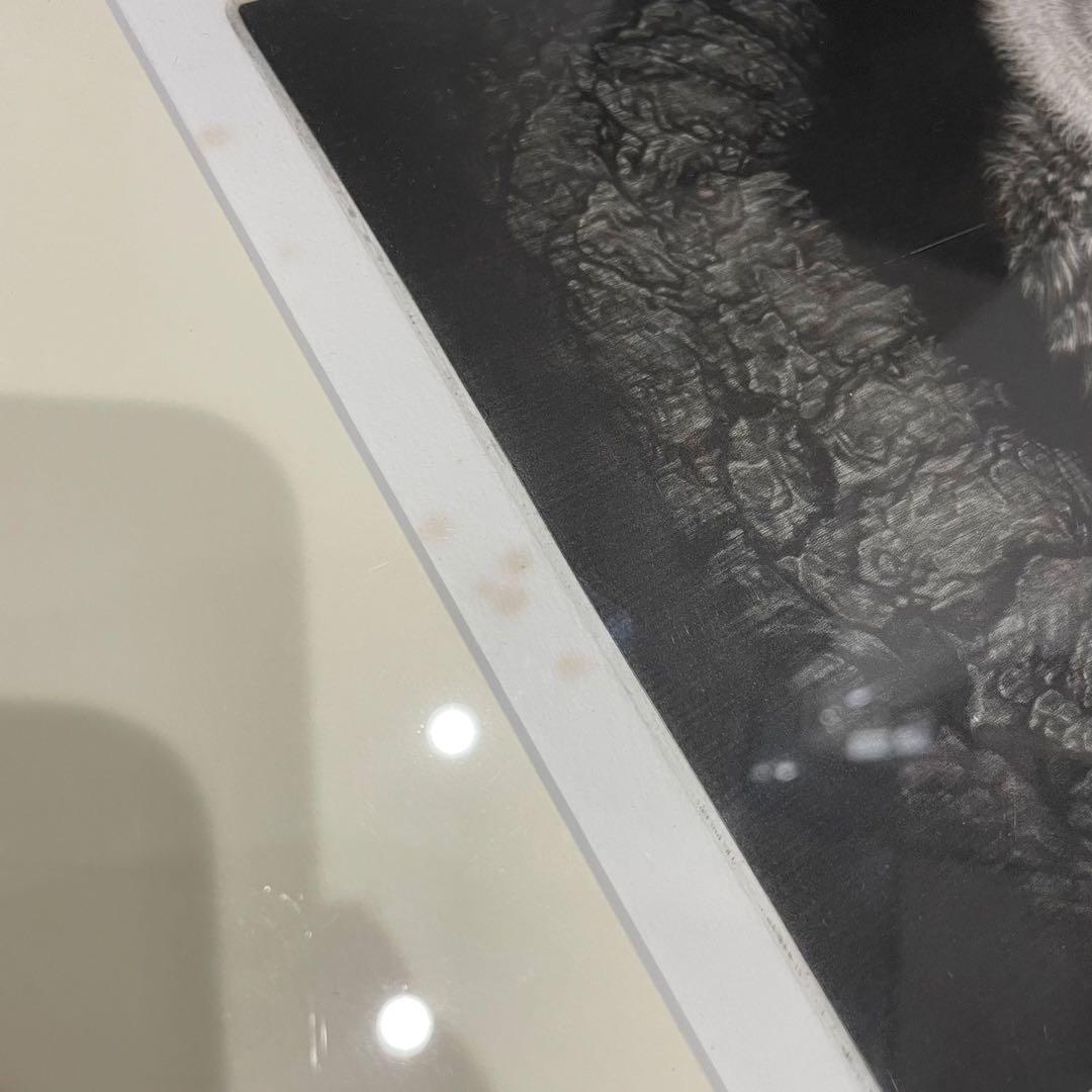 【生田宏司先生直筆サイン入り】無垢無垢Ⅳ 額縁付き　メゾチント版画　 梟