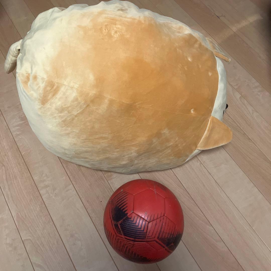 大きいぬいぐるみクッション