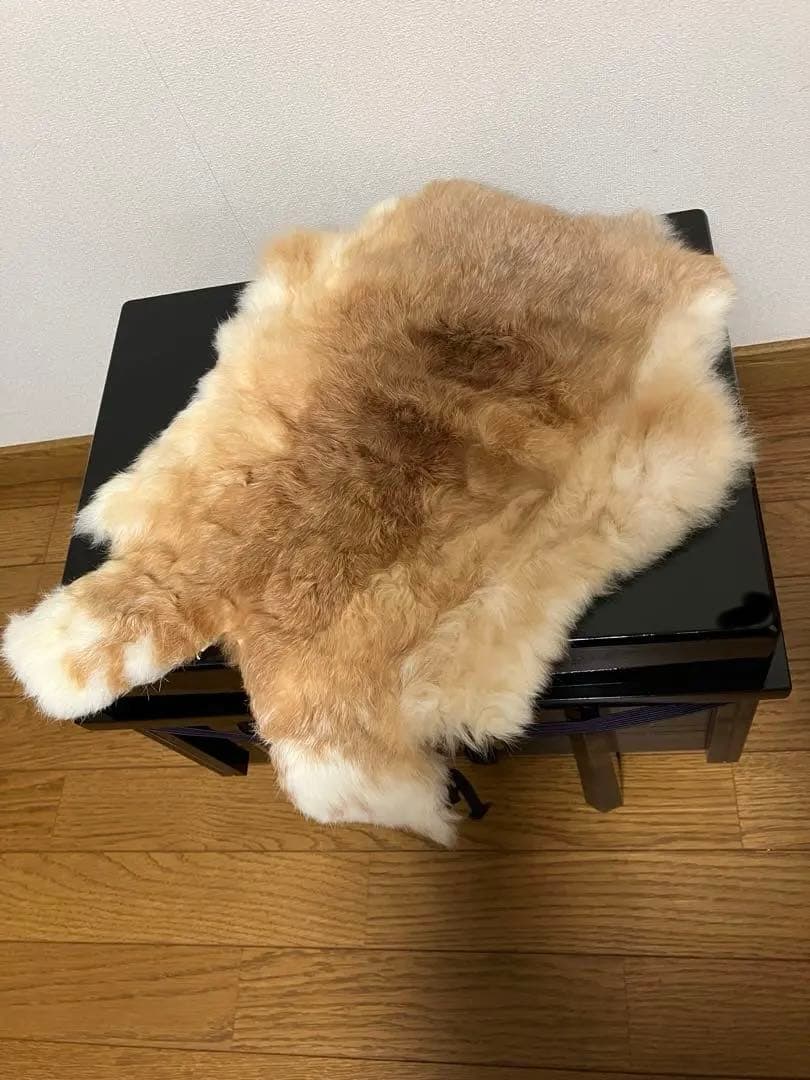 五月人形　甲冑　鎧兜　12号　オブジェ　インテリア