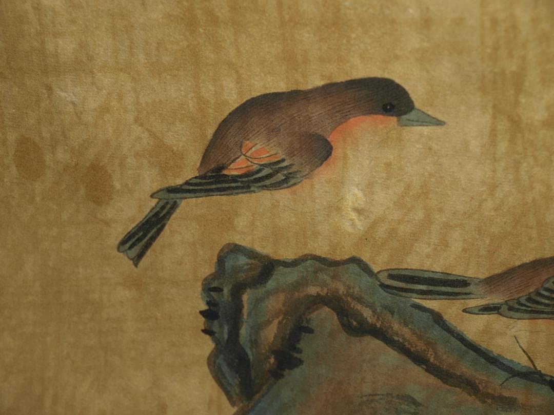 中国明時代の絵　激安骨董品　肉筆保証BD081A2-4