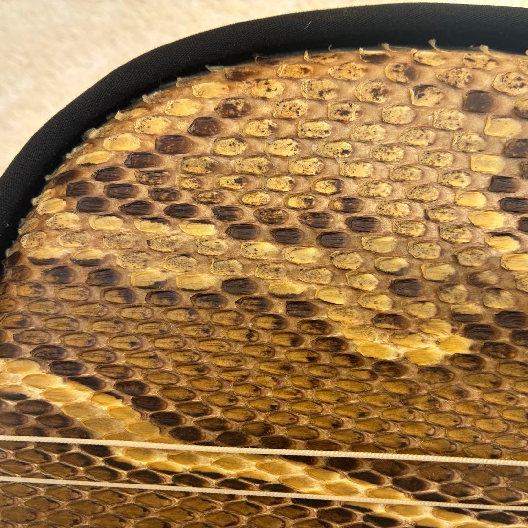 沖縄三線 蛇 脱皮 本革製