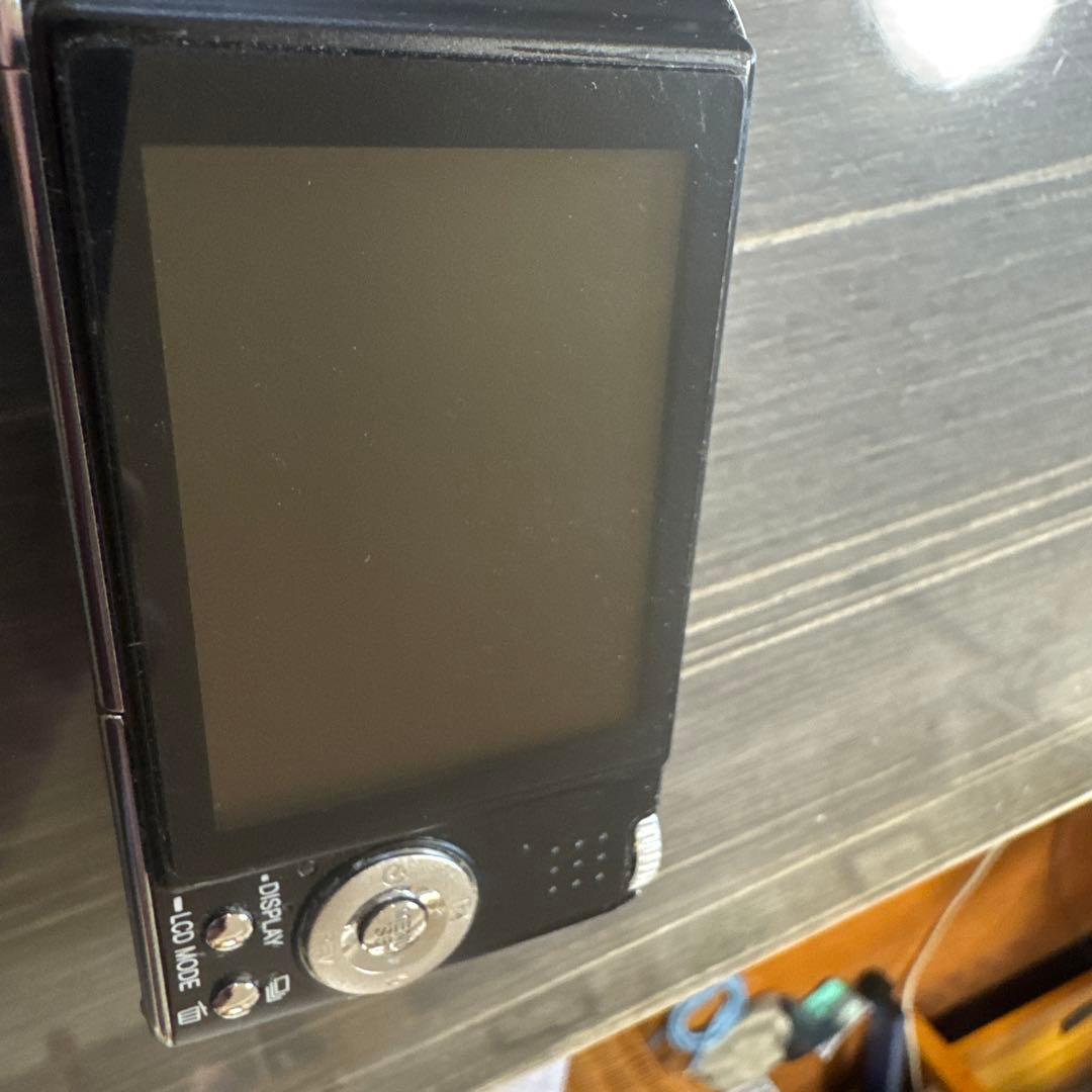 LUMIX DMC-FX01 美品＋純正オプションケース付き ブラック