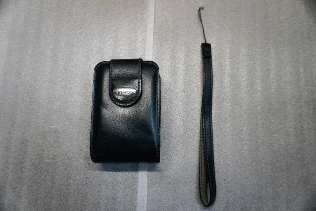 LUMIX DMC-FX01 美品＋純正オプションケース付き ブラック