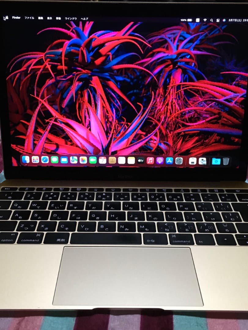 Apple MacBook 2015 8GB 250GB WIN11 化粧箱AC