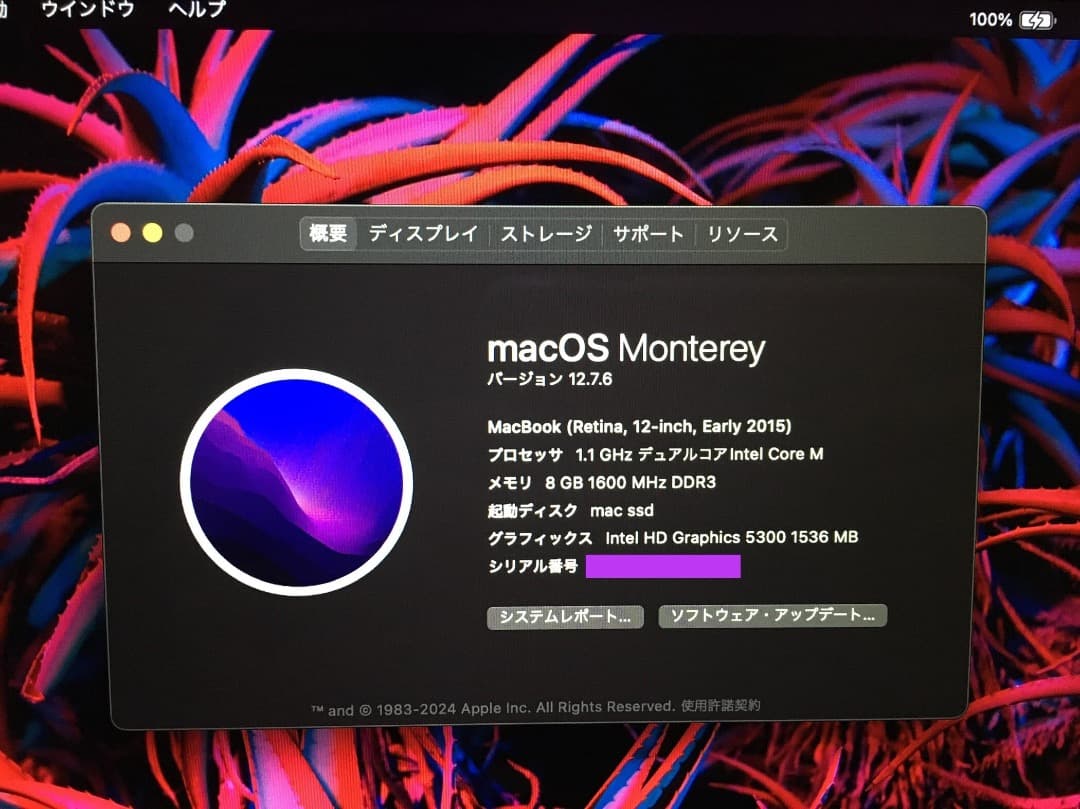 Apple MacBook 2015 8GB 250GB WIN11 化粧箱AC