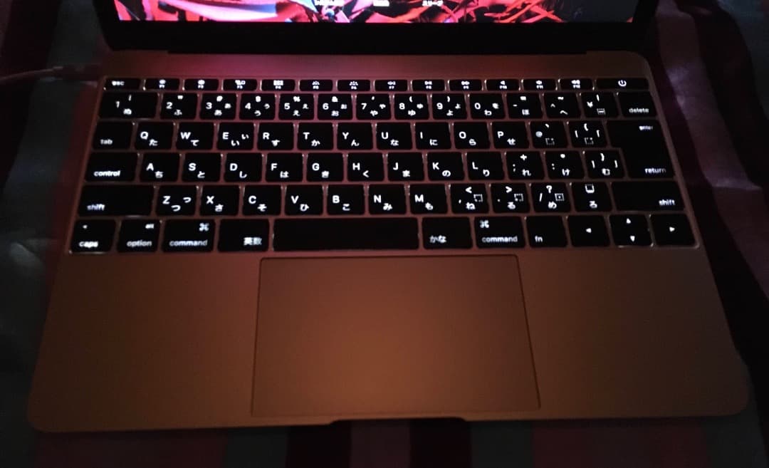 Apple MacBook 2015 8GB 250GB WIN11 化粧箱AC