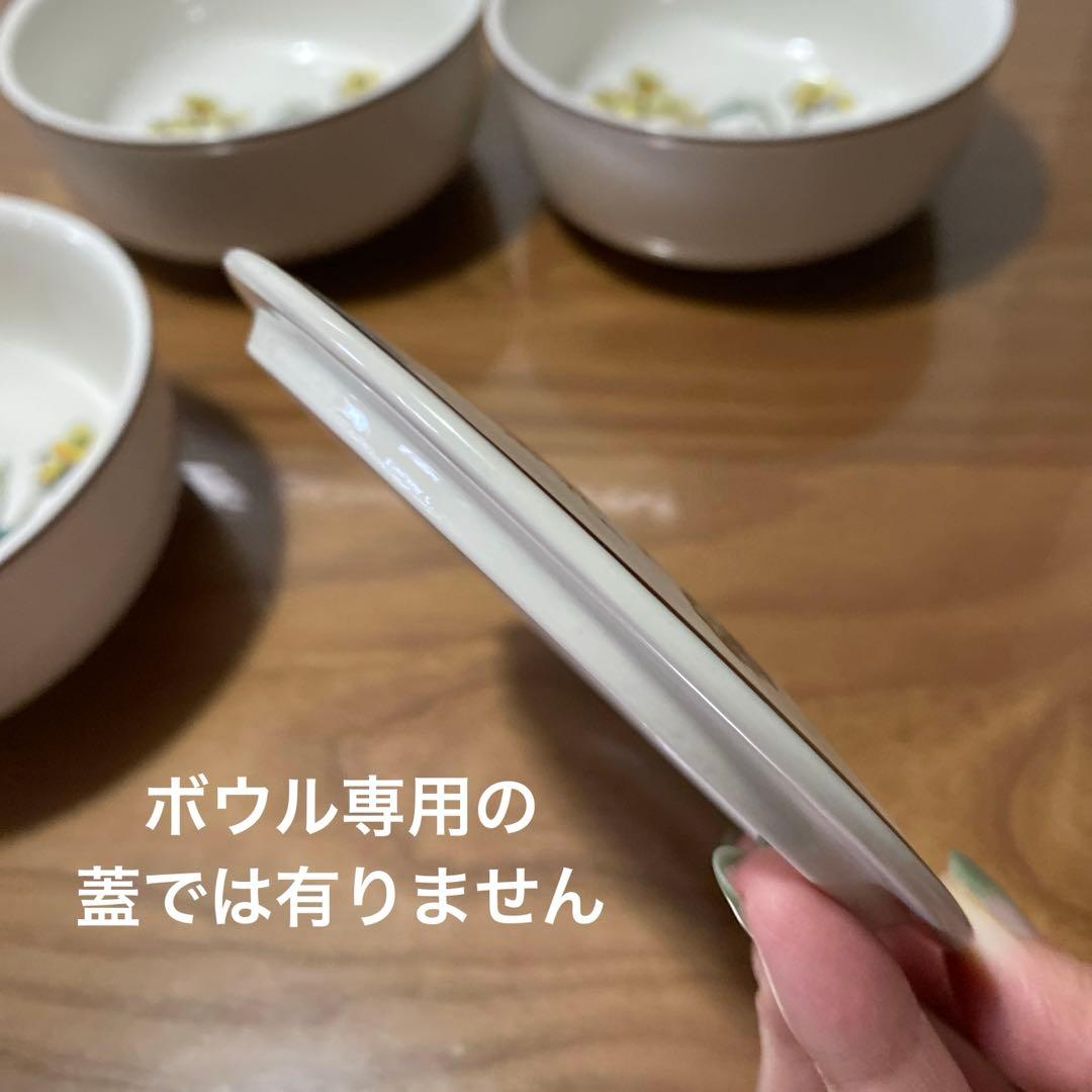 ボタニカ　ボウル　鉢　丼　ビレロイボッホ　ビレロイ＆ボッホ　4点