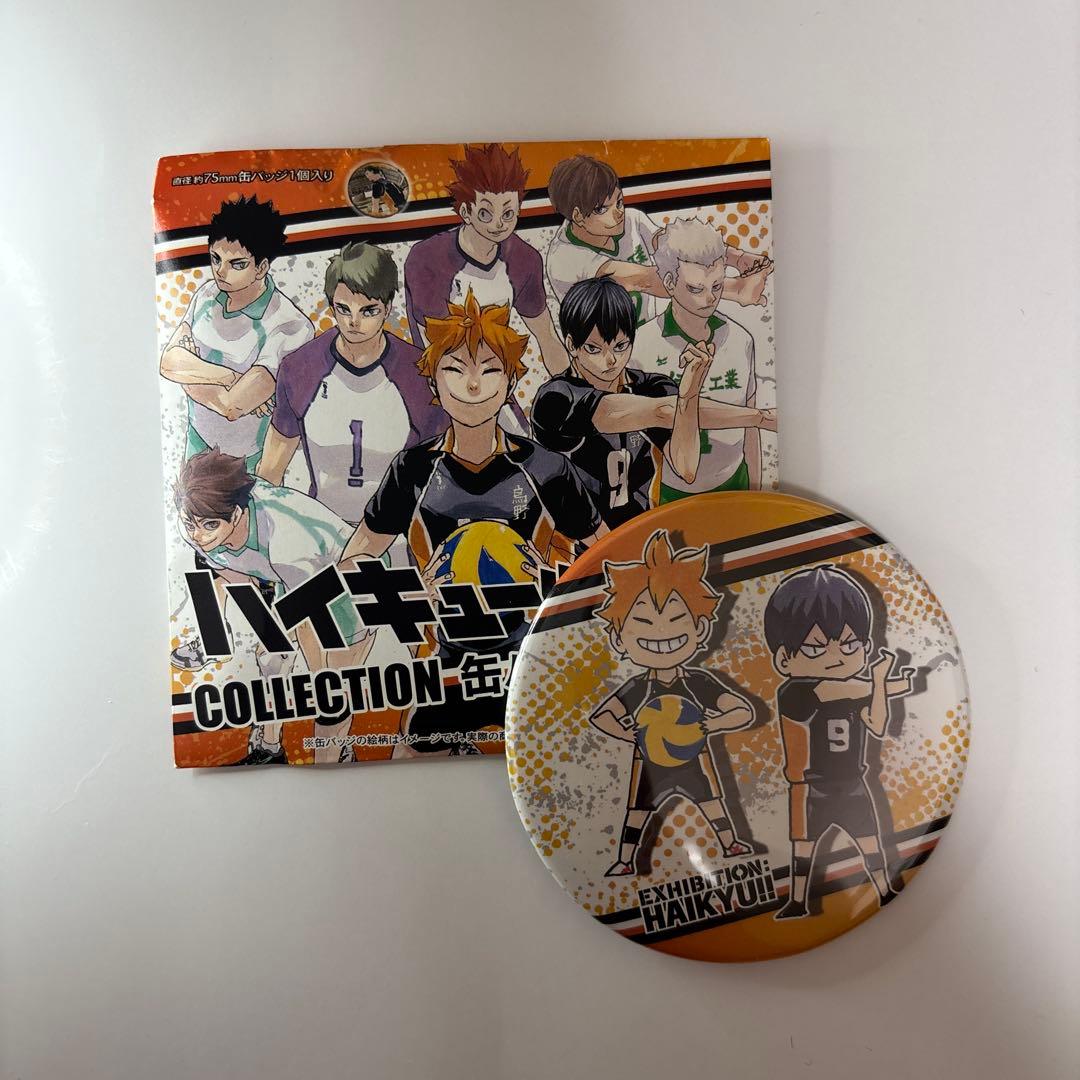 影山飛雄 ハイキュー!! 缶バッジ アクリルタグ クロスキーリング ステッカー