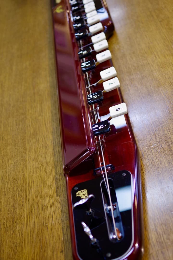 SUZUKI 電気大正琴 蘭 バス（セミハードケース付）