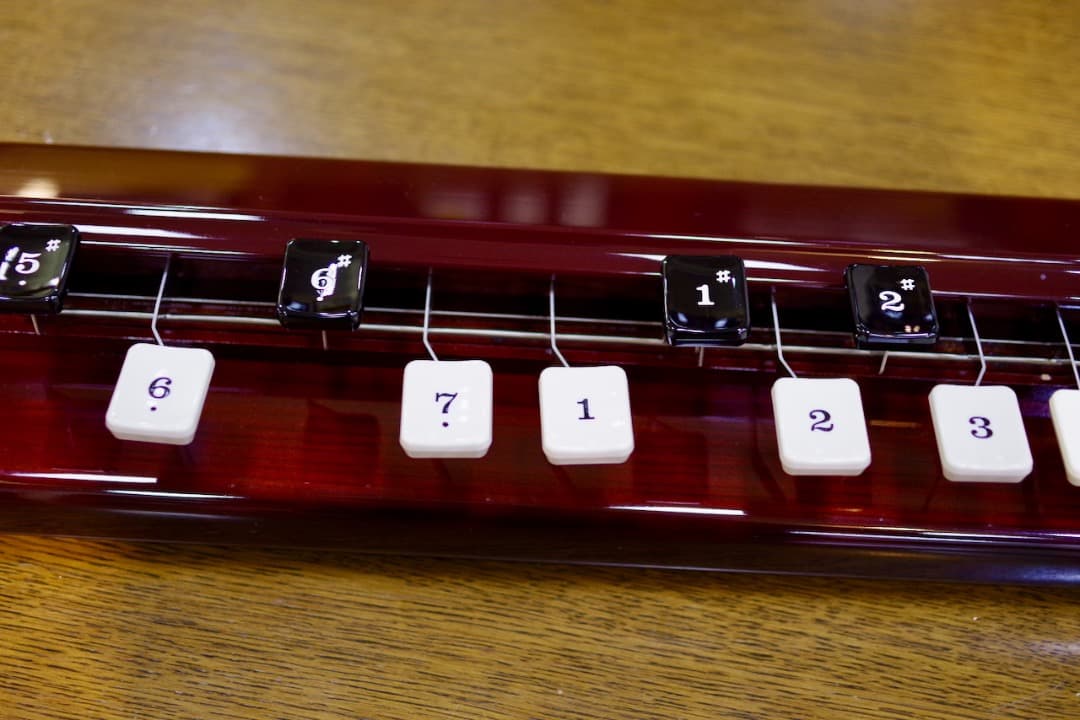 SUZUKI 電気大正琴 蘭 バス（セミハードケース付）