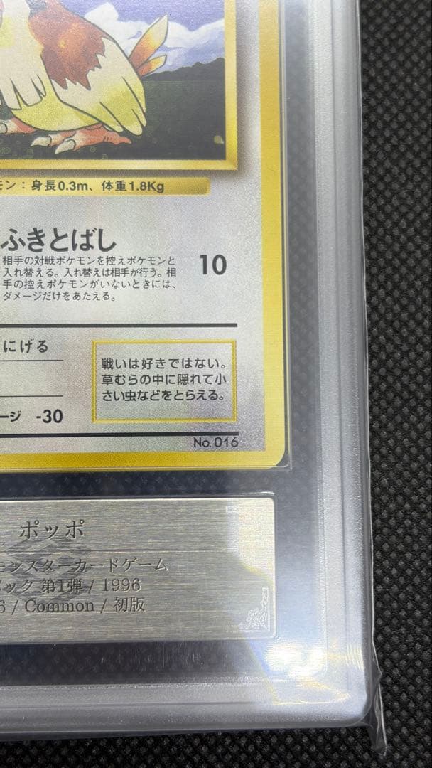 ポッポ 初版 旧裏 マークなし ARS10 PSA10相当【世界に3枚】