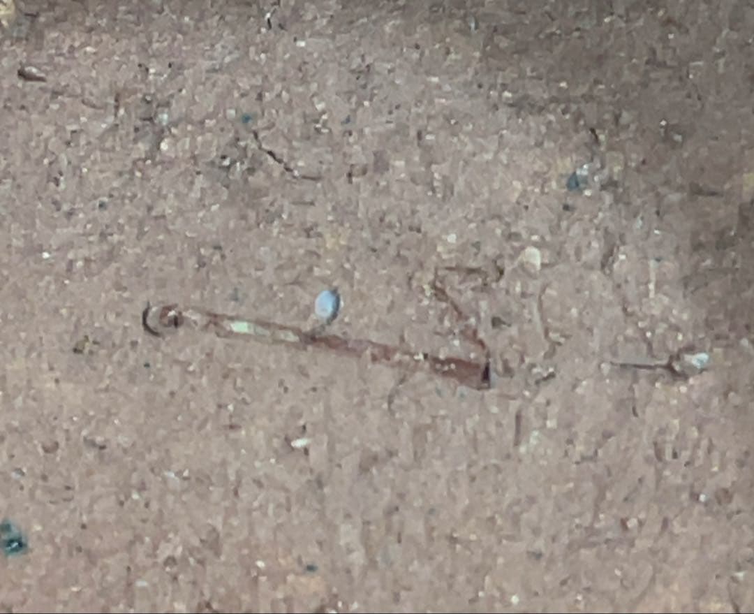 備前焼　台皿・高さ7.4cm！　重さ2.5kg！　贅沢な盛皿