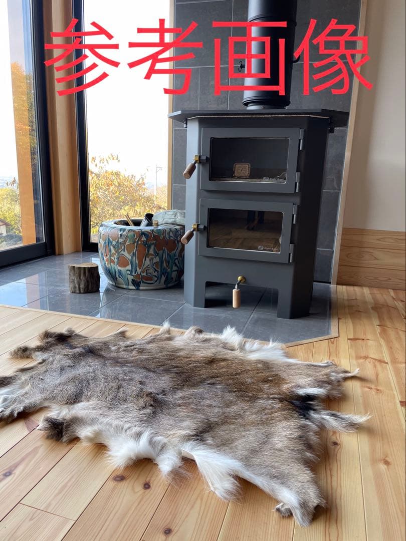 ニホンジカ♂毛皮（尾頭付） 25-5