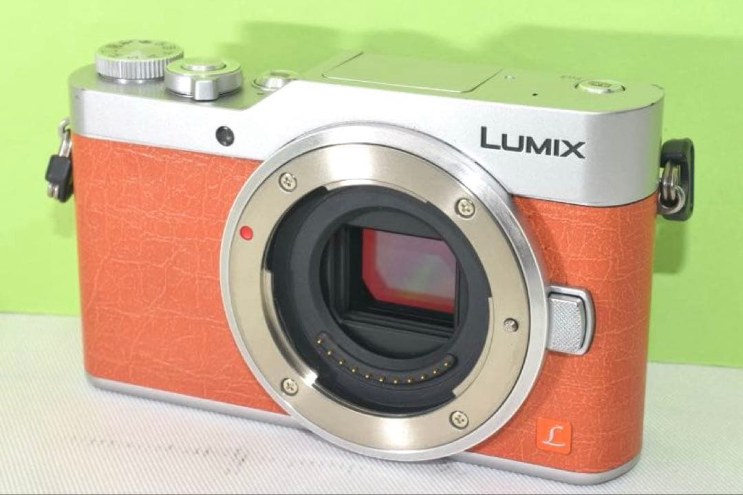 Panasonic DMC-GF9 ☆送料無料☆
