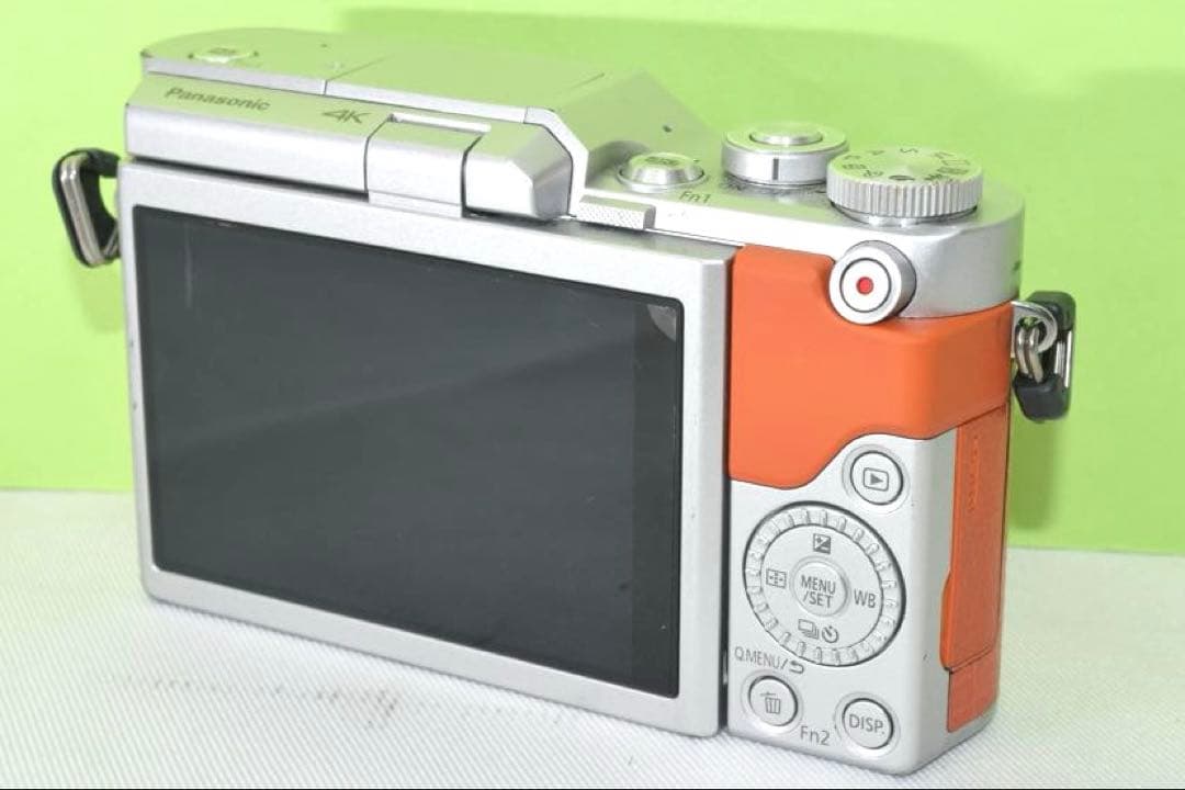 Panasonic DMC-GF9 ☆送料無料☆