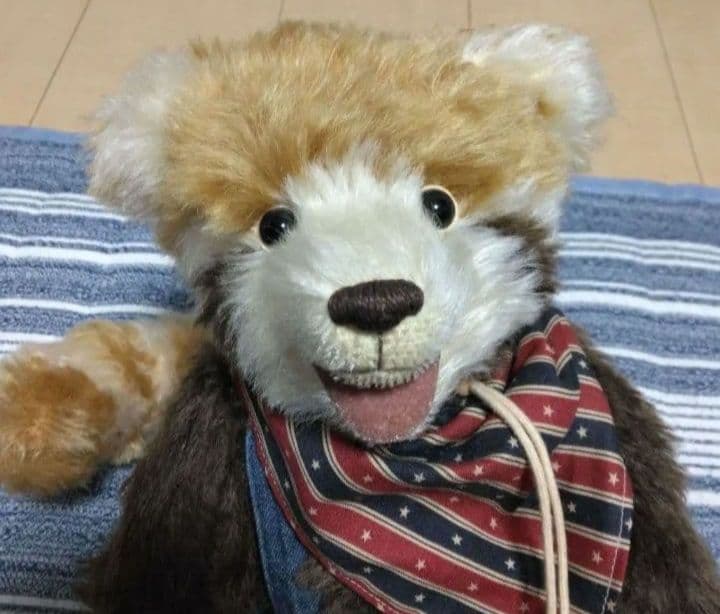 ハンドメイド　バンダナ、帽子付きぬいぐるみ 約30cm　アライグマ