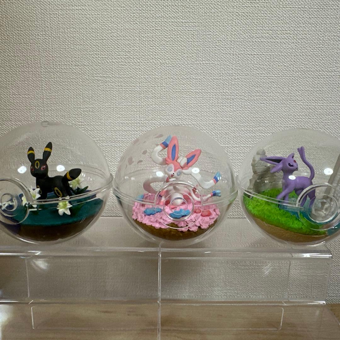 ポケモン　テラリウムコレクション　ブイズ