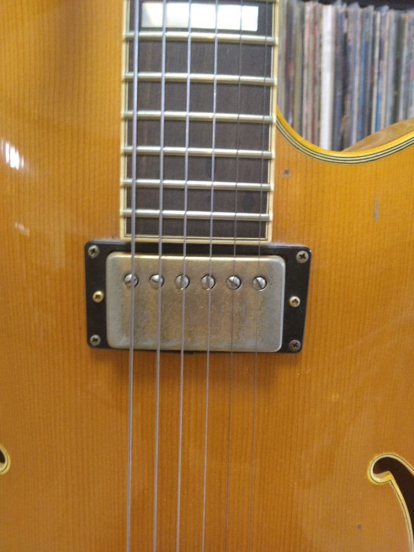 Angelica ニューヨーカー　フルアコ