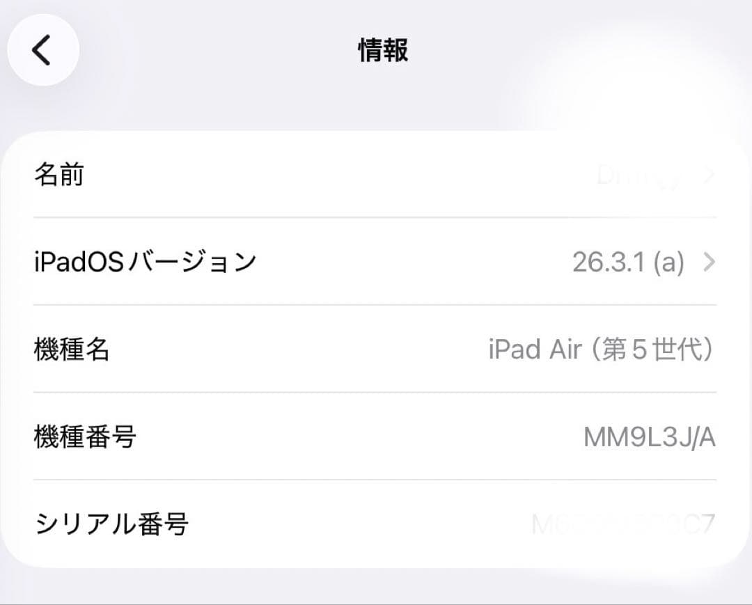iPadAir 第5世代 256GB Wi-Fiモデル 超美品 Apple正規品