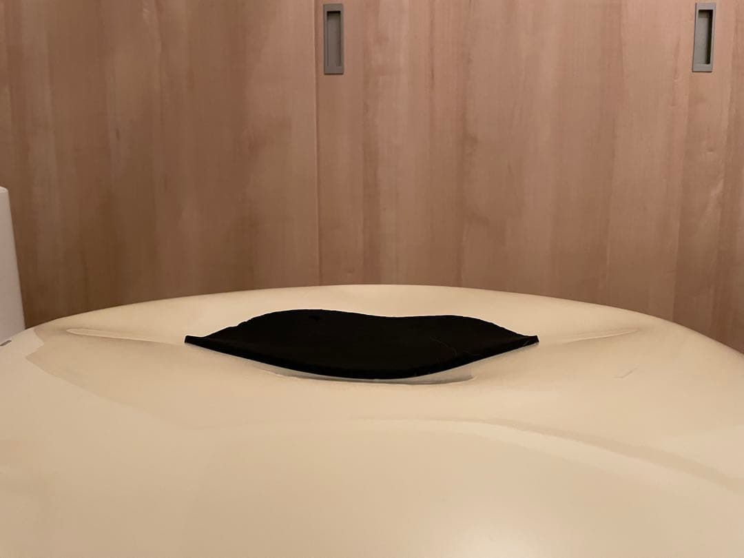 【訳あり】エーロ・アールニオ パスティルチェア（リプロダクト）