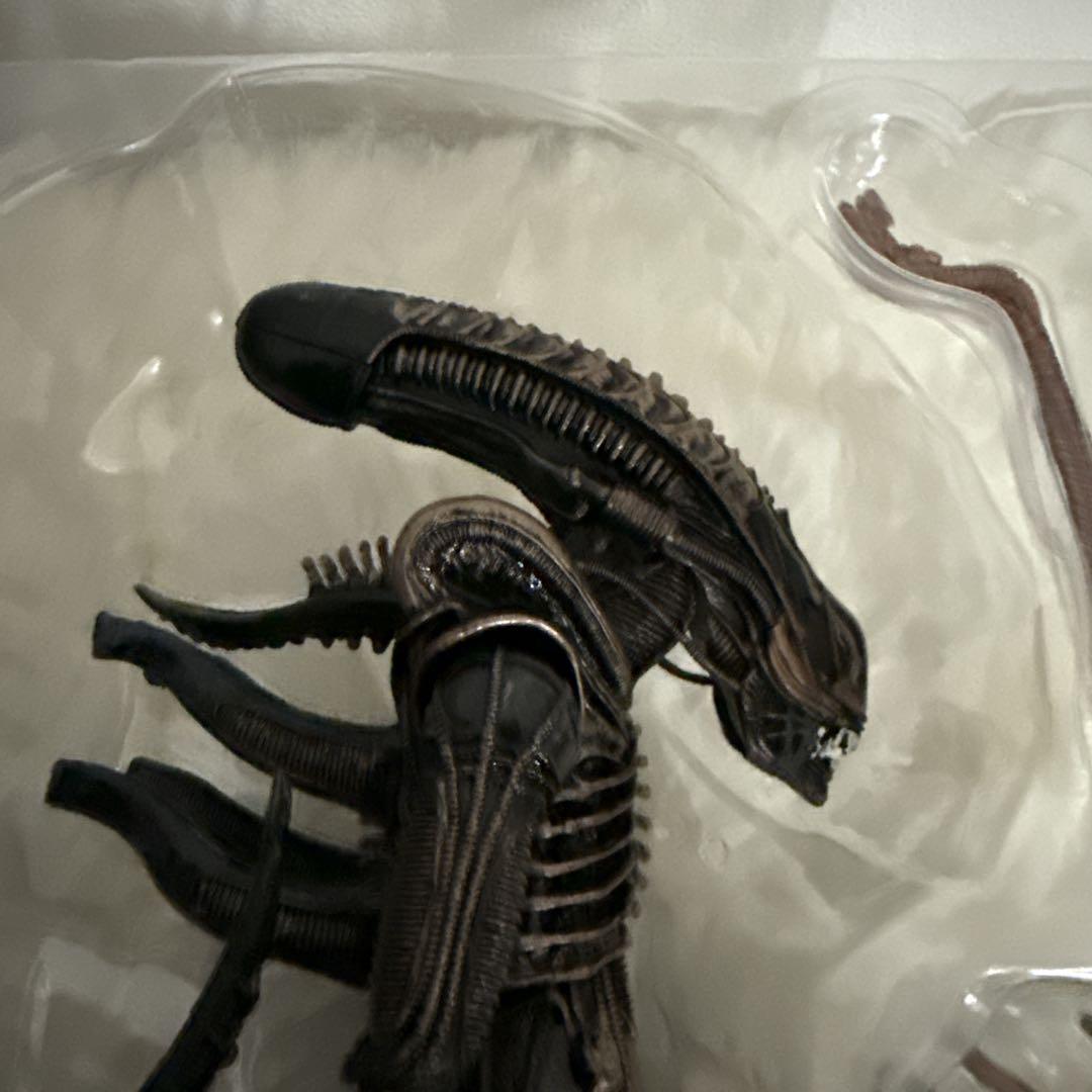 NECA エイリアン ウォーリアー 7インチ 箱付 美品