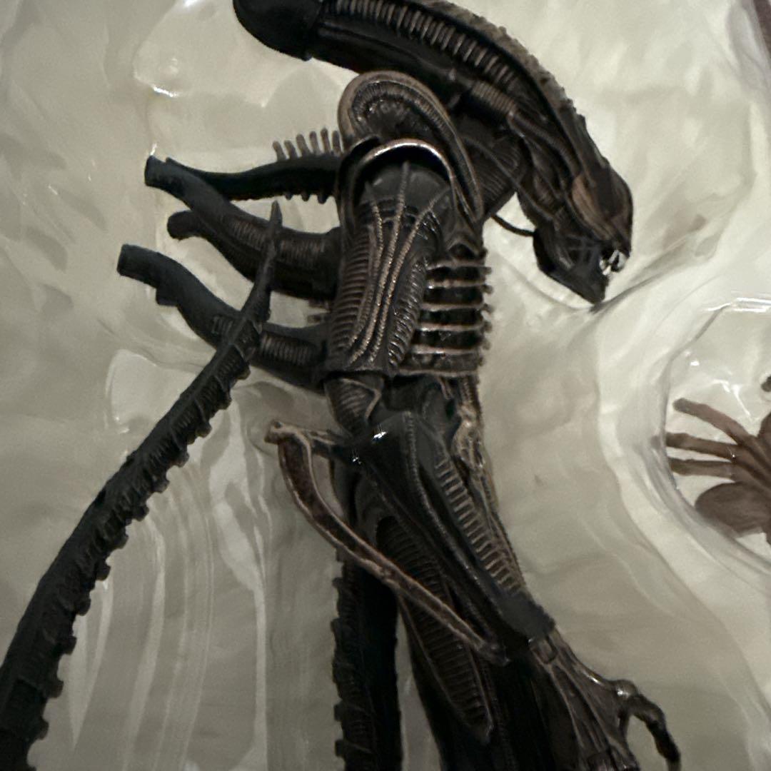 NECA エイリアン ウォーリアー 7インチ 箱付 美品